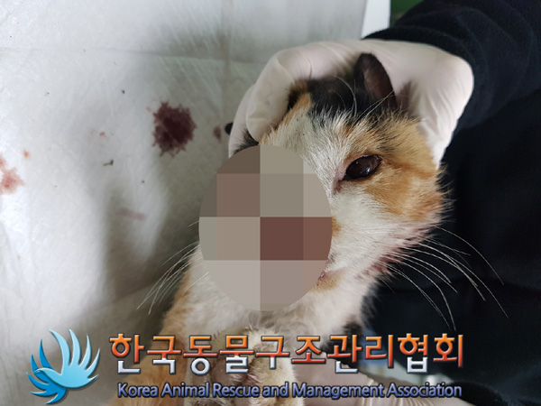 종료(자연사) 한국…